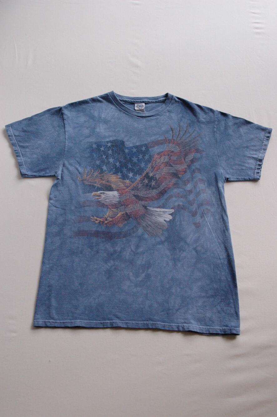 Vintage Delta Pro Weight Eagle T Shirt Mens M Blue Tie Dye Flag Y2K Nature